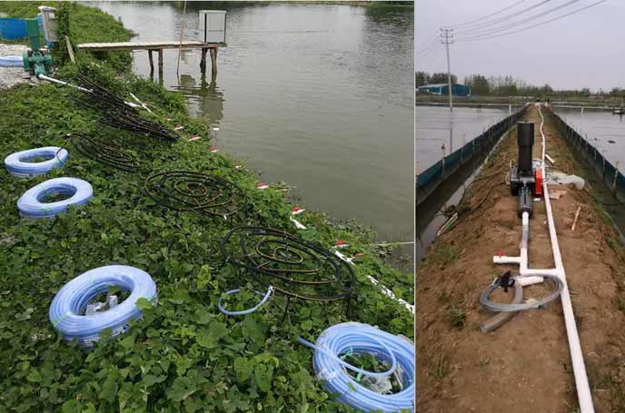 水产养殖中罗茨鼓草莓视频破解视频免费观看安卓曝氧气作用效果明显好