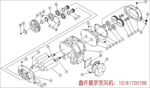 罗茨草莓视频破解视频免费观看安卓工作组成部件